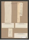 Pleurosigma angulatum var. elongatum (W.Sm.) V.H. (de-Toni-Nr.: Genus 13, Species 1001) Zeichnungen Sammlung Grunow Nr. 2011 (NHMW-BOT-W0368860)
